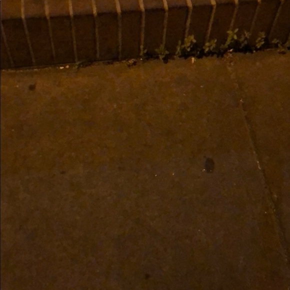 Meet your Posher, Adam - Picture 1 of 1